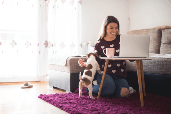How To Raise A Puppy When You Work From Home