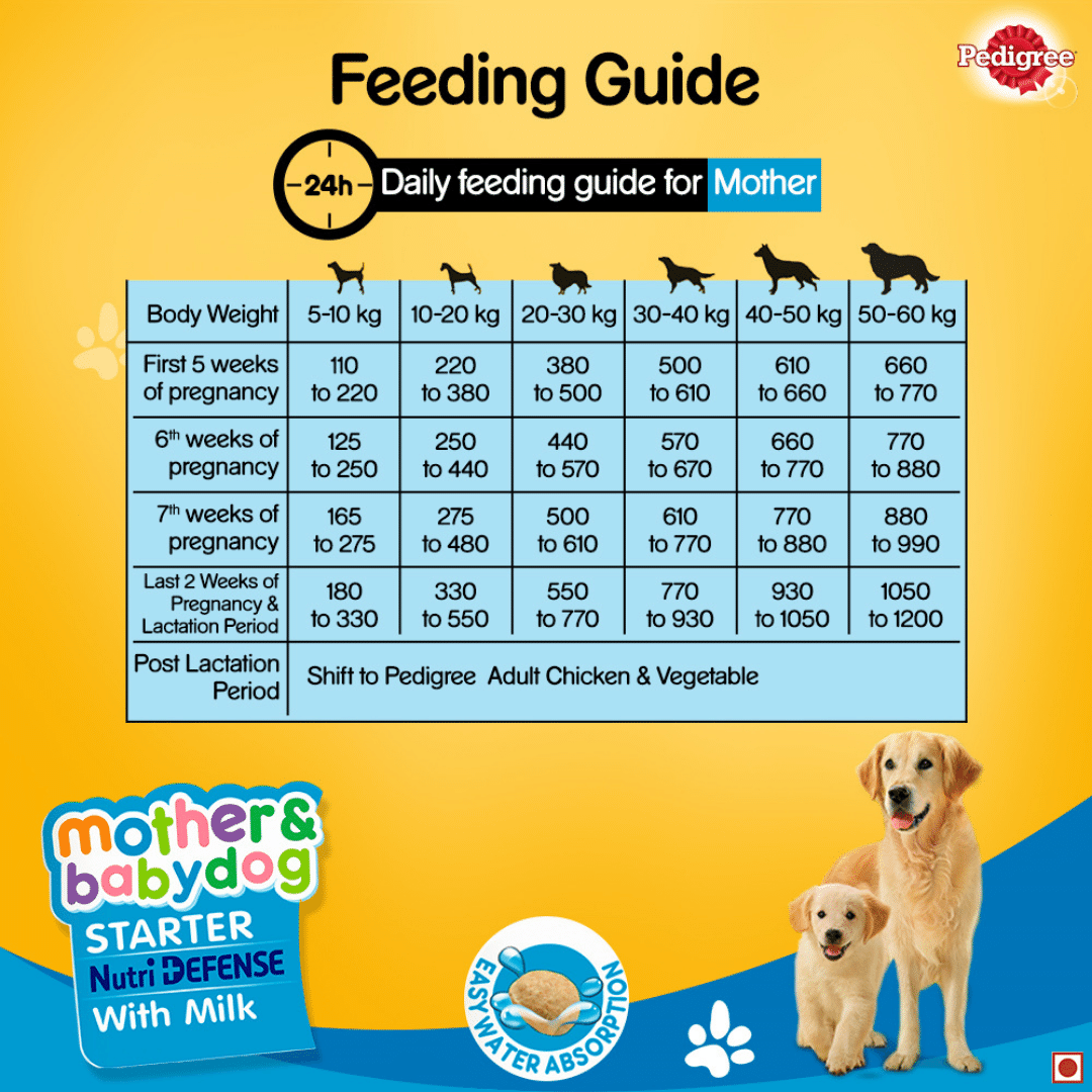 Feed guide mother