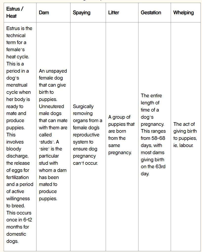 table data