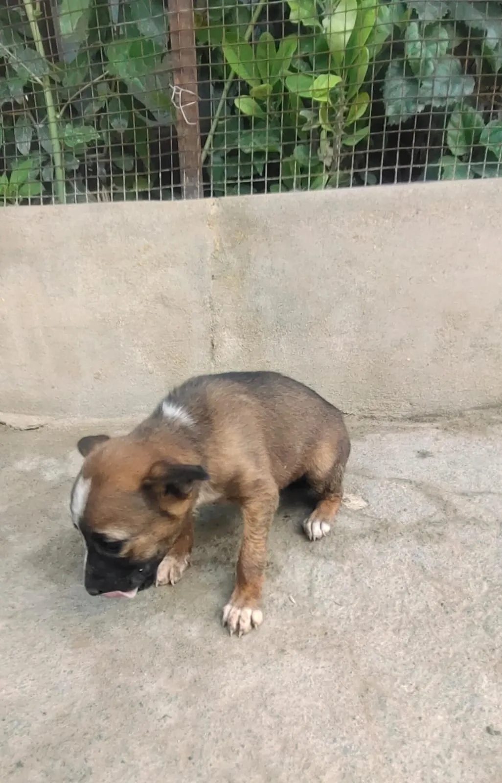 preethi image 0